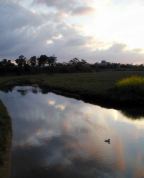 Goleta Slough at Sunset